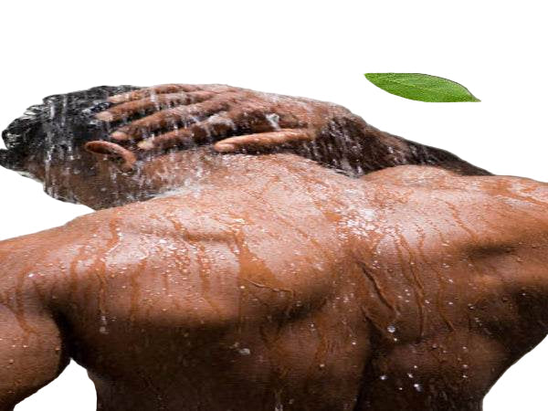 Organic Body Wash - 7 Organic Fragrances - For Men-2